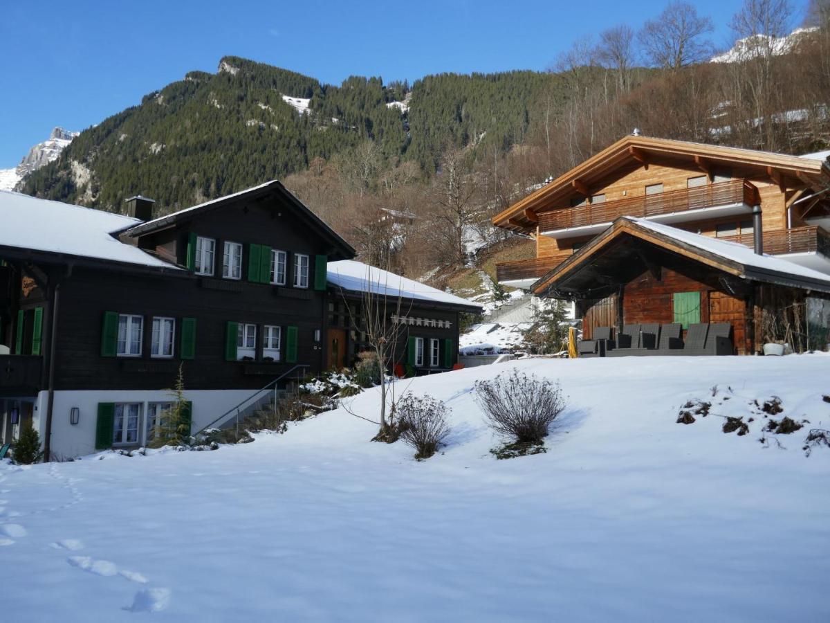 Apartment Chalet Schwendihus-6 By Interhome جريندلوالد المظهر الخارجي الصورة