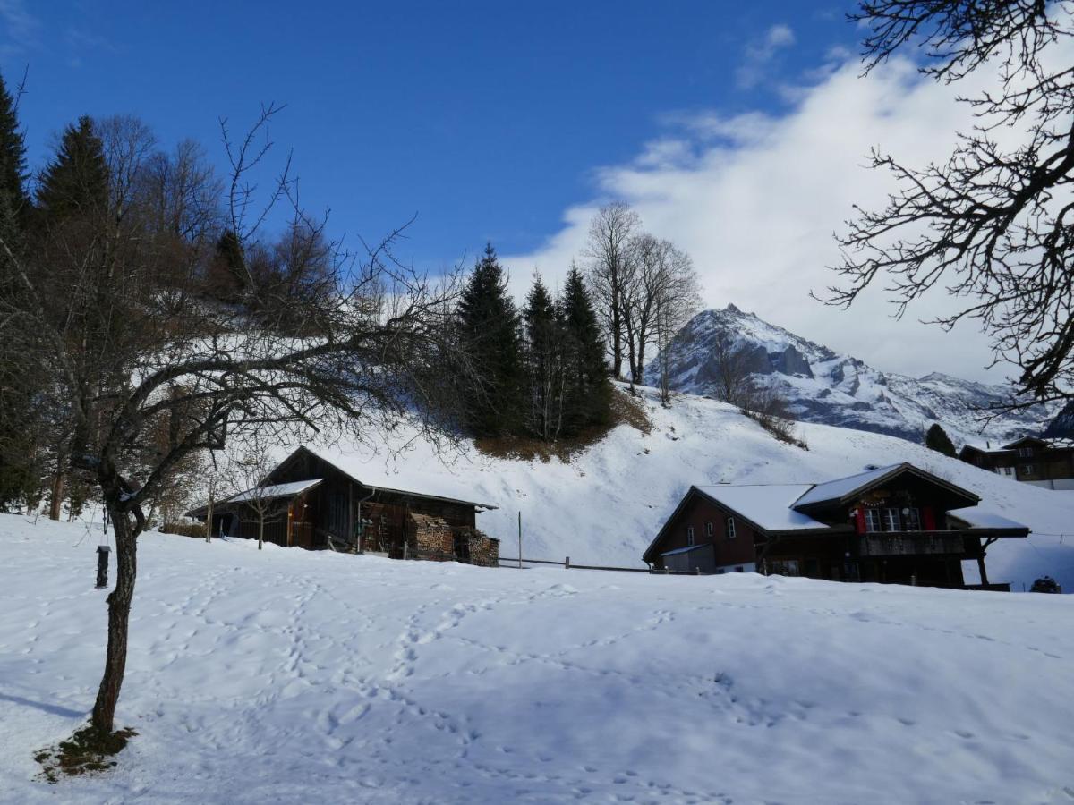 Apartment Chalet Schwendihus-6 By Interhome جريندلوالد المظهر الخارجي الصورة